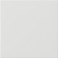 Gira Wippe einefach weiß, Retail