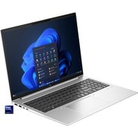 HP EliteBook 860 G11 (A26QCEA), Notebook silber, Intel® Core™ Ultra 5 125U, Intel® Graphics, 16 GB DDR5, 512 GB (512 GB SSD), Windows 11 Pro 64-Bit