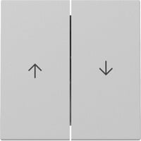 Gira Wippe zweifach mit Pfeilsymbol grau, Retail