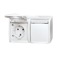 Busch-Jaeger Steckdose zweifach waagerecht Typ 20/2 EWN-54 mit Schutzkontakt und Beschriftungsfeld weiß, Retail