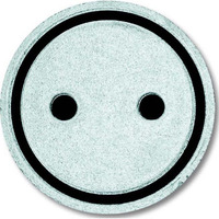 Busch-Jaeger Tastersymbol Steckdose 2144 ST Retail
