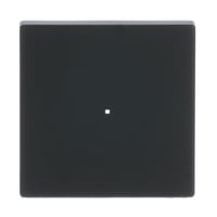 Busch-Jaeger Wippe future linear schwarz, Retail