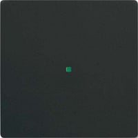 Busch-Jaeger Wippe future linear schwarz, Retail