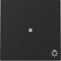 Gira GIRA Wippe Kontrollf. + Symb. Schwarz m 3674005 schwarz, Retail