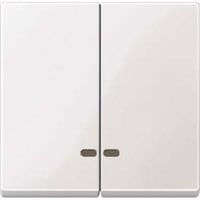 4042811148942 - Doppelwippe mit Kontrollfenster für Serien- und Doppeltaster-Einsatz glänzend