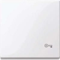 4042811148683 - Wippe Schlüssel Wechselschalter Kreuzschalter Taster Einsatz