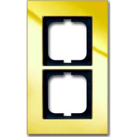 Busch-Jaeger Rahmen zwei-fach gold, Retail