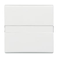 Busch-Jaeger Wippe Auswechsel mit Beschriftung 2106 N-34 Retail