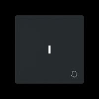 Busch-Jaeger Wippe mit Symbol Klingel mit transparenter Kalotte schwarz, Retail