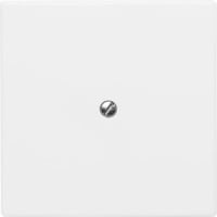 Busch-Jaeger Blindzentralscheibe mit Tragring, Blende Retail