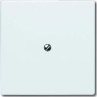 4011395871003 - BJ UPWG Allwetter Blindabdeckung 2138-34 alpinweiss