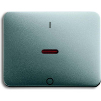 Busch-Jaeger Kontroll-Wippe mit Aufdruck I/0 titan, Retail