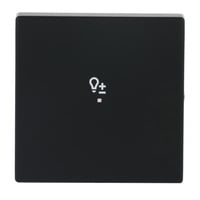 Busch-Jaeger Wippe future linear schwarz, Retail