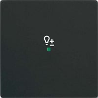 4011395203347 - Wippe future linear