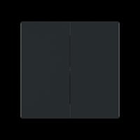 Busch-Jaeger Wippe geschlossen schwarz, Retail