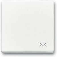 Busch-Jaeger Wippe mit Aufdruck weiß, Retail