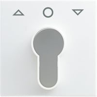 4011395191644 - BJ Zentralscheibe 2557 PZ-914-101 Schlüssel Jalousie aws balance SI