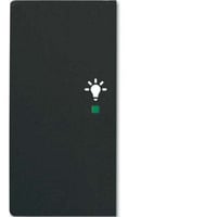 4011395203361 - Wippe matt future linear