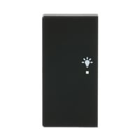 Busch-Jaeger Wippe matt future linear schwarz, Retail