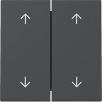 Gira Wippe zweifach mit Pfeilsymbolen anthrazit, Retail