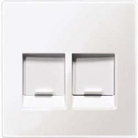 4042811151928 - Zentralplatte zweifach passend für Modular Jack