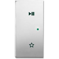 Busch-Jaeger Wippe 6237-21-866 edelstahl, Retail