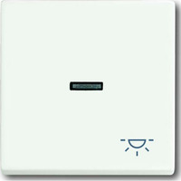 Busch-Jaeger Wippe mit Symbol Licht matt weiß (matt), Retail