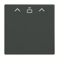 Busch-Jaeger Zentrale Scheibe Cardschalter Radiofrequenzidentifikation, Abdeckung anthrazit, Retail