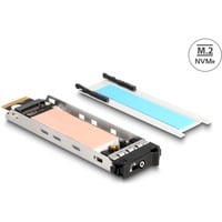Wechselrahmen Einschub 1 x M.2 NMVe SSD für 47028