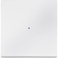 4042811164690 - Wippe einteilig matt 1fach für System M Typ MEG5210-0419