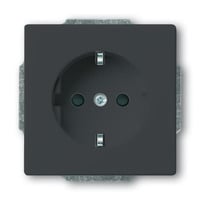 Busch-Jaeger Schutzkontakt Steckdosen-Einsatz mit erhöhtem Berührungsschutz anthrazit, Retail