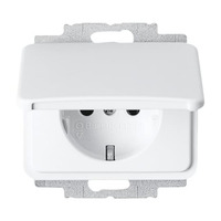 Busch-Jaeger Steckdosen-Einsatz mit Klappdeckel, 2-polig (2 Pole plus Erde), Typ 20 EUK-24G weiß (glänzend), Retail