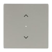 Busch-Jaeger Wippe Edelstahl edelstahl, Retail