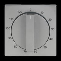 Busch-Jaeger Zentralscheibe, Zeitschaltuhr edelstahl, Retail