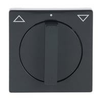 Busch-Jaeger Zentralscheibe mit Drehgriff für Jalousie, Abdeckung anthrazit, Retail
