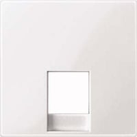 Merten Zentralplatte für RJ12-Telefonsteckdosen-Einsätze glänzend weiß, Retail