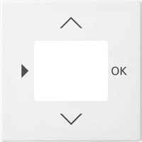 Busch-Jaeger Zentralscheibe für Komfort-Timer und Standard-Timer, Zentralplatte Retail