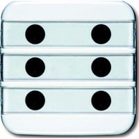 Busch-Jaeger Zentralscheibe mit Beschriftungsfeld, Zentralplatte Retail