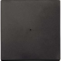 4042811164713 - Wippe einteilig 1-fach System M mit Kontrollfenster Kunststoff matt IP20 IK01