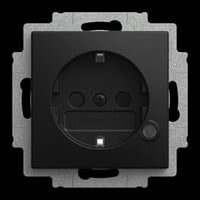 Busch-Jaeger Steckdosen Einsatz 20 EUCBL-915 schwarz, Retail