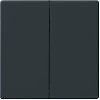 Busch-Jaeger Wippe zweiteilig Serienschalter und Taster anthrazit, Retail