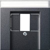 Gira Zentralplatte TAE, Abdeckung anthrazit, Retail