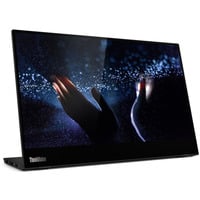 Lenovo Thinkvision M14T Generalüberholt, LED-Monitor 35.56 cm (14 Zoll), schwarz, FullHD, IPS, USB-C