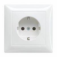 Busch-Jaeger Schutzkontakt Steckdose Unterputz 20 EUJR-914 weiß, Retail