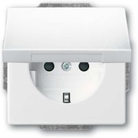 4011395229316 - Schutzkontaktsteckdose Einsatz 20 EUKBR-84