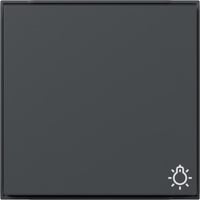 Gira Wippe mit Symbol Licht anthrazit, Retail