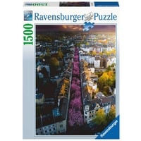 Ravensburger Puzzle: Blühendes Bonn (1500 Teile) 
