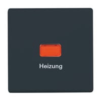 0 Wippe Heizung Notschalter 2102 H-35 anthrazit, Retail