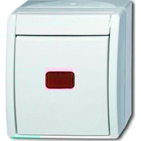 Busch-Jaeger Kontroll-Wechselschalter 2601/6 SKW-54 weiß, Retail