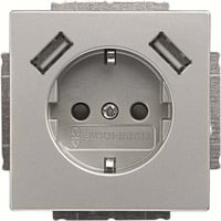 Busch-Jaeger Schutzkontakt Steckdose mit zwei USB Anschlüssen edelstahl, Retail